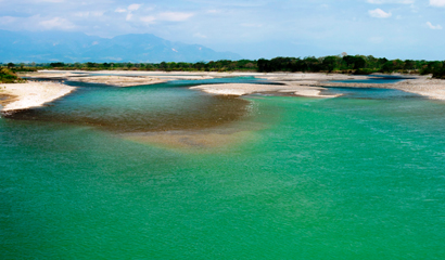 Programas Ambientales